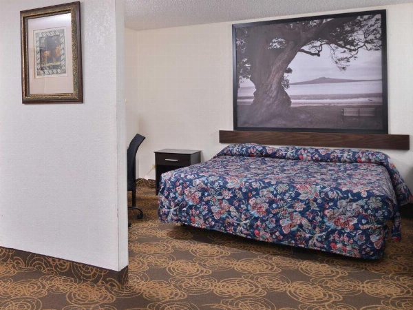 Rodeway Inn Waukegan image 23